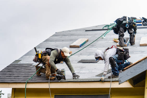 Professional Flat Roof Repair technician working in Marine On Saint Croix, MN